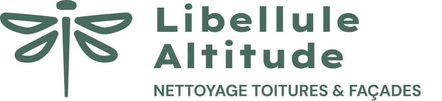 Libellule